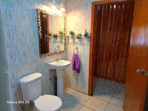 a bathroom with a toilet and a sink and a mirror at Cabaña La Ondina in Melipeuco