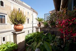 un groupe de plantes en pot sur un balcon dans l'établissement Terrace Jewel by Campo de Fiori, à Rome