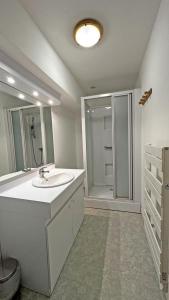 a white bathroom with a sink and a shower at Le gîte communal in Dompierre-les-Églises +15 photos