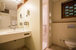 ein Bad mit einem Waschbecken und einer Dusche in der Unterkunft Residenz Hotel Zum Zollhaus in Rastede