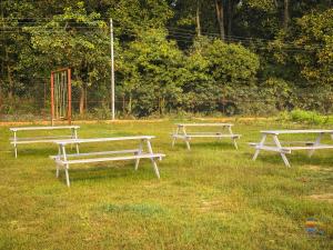 Gallery image of PILIBHIT FOREST AND FEAST-Near Pilibhit Tiger Reserve in Mādho Tānda +50 photos