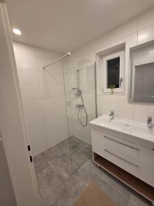 a bathroom with a shower and a sink at Urlaub am Weinhof Ramminger in Gleisdorf +44 photos