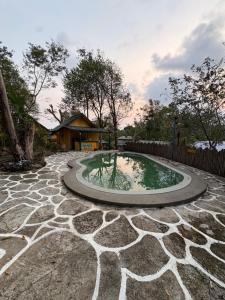 a small pool of water with a tree in it at elephant garden in Ban Bang Bao