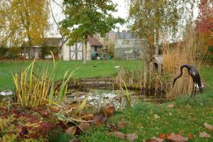 a bird standing in a pond in a yard at La Petite Maison in Sart lez Walhain