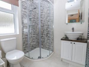 a bathroom with a shower and a toilet and a sink at Dono's Lodge in Narberth +26 photos