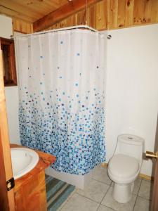 a bathroom with a toilet and a shower curtain at Cabaña Pucon a Huife in Pichare