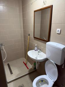 a bathroom with a toilet and a sink and a mirror at Household Grbovic in Bijelo Polje +24 photos