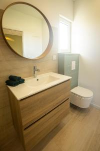a bathroom with a sink and a mirror and a toilet at Lodge Romy in Schalkendorf