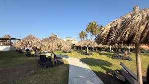 a resort with chairs and straw umbrellas and a path at BellitasHouse Dream Acapulco Lujo y Confort in Acapulco