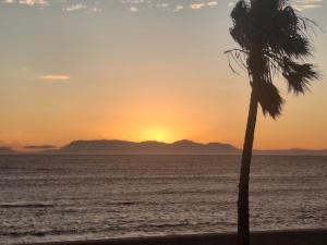 a palm tree on the beach at sunset at R & A's Cottage in Strand