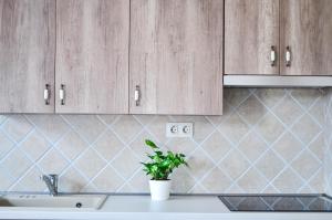 Kuchyň nebo kuchyňský kout v ubytování Páva Apartmanház