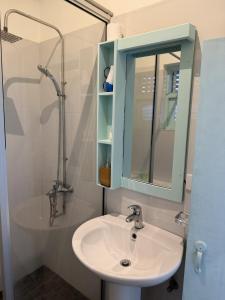 a bathroom with a sink and a shower and a mirror at Sri Gemunu Beach Resort in Unawatuna +34 photos