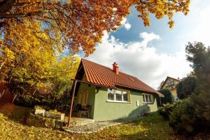 ポラニツァ・ズドルイにあるDom Maciejówkaの赤屋根の小さな緑の家