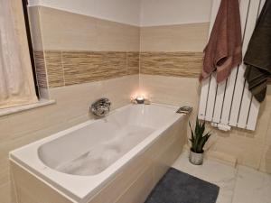 a white bath tub in a bathroom with a plant at Ferienhaus Feldbrise in Gottesgabe