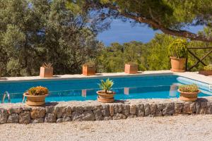 a swimming pool with potted plants on a stone wall at La Galera Deià in Deia