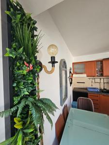 a living room with a plant on the wall at Nearby PORTONOVI-Norwegian-village DUPLEX in Đenovići