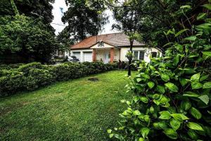 a house with a green yard in front of it at Petrův dům u mlýna in Slup +8 photos