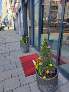 two potted plants on a sidewalk in front of a store at Design- und Kunsthotel München in Munich