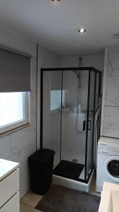 a shower in a bathroom with a washing machine at Maas Chalet Aldeneik in Maaseik +19 photos