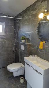 a bathroom with a toilet and a sink and a mirror at Apartment Daca in Vir +22 photos
