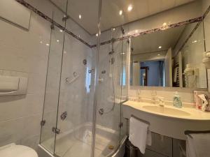 a bathroom with a shower and a sink at Hotel Krone Neuenburg in Neuenburg am Rhein