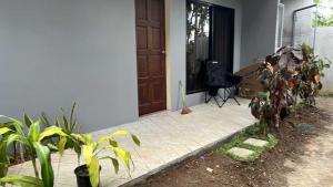 a front door of a house with plants in front at Witty Woods Guesthouse in Camalig +2 photos