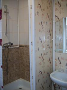 a bathroom with a shower and a sink at Ariel гостиница in Ivanovo