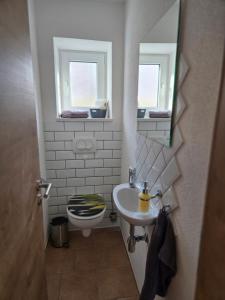a bathroom with a toilet and a sink and a mirror at Binder's Ferienhaus zur Altmühl in Leutershausen +22 photos