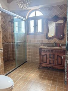 a bathroom with a shower and a sink and a toilet at Xiannv Mountain House in Chongming