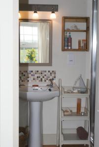 Η κουζίνα ή μικρή κουζίνα στο Llety Farm +29 φωτογραφίες