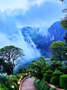 a pathway with lights in front of a mountain at Koodaram Camping Munnar in Munnar