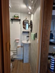 a small bathroom with a sink and a toilet at Appartament prés de la mer in Valras-Plage