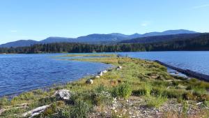 a large body of water with mountains in the background at Kiwi Cove Lodge in Ladysmith +13 photos