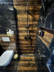 a bathroom with a toilet and a shower at Gosen Grand Residence in Sângeorz-Băi +10 photos