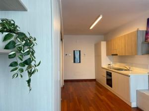 a kitchen with a plant on the wall at Appartamenti Ariston - Centro Giulianova in Giulianova