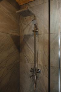 a shower with a shower head in a bathroom at Putyscha house in Tukhlya