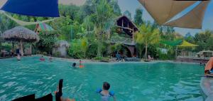 a group of people in a pool at a resort at Bird House Ecolodge Nghệ An in Hữu Biêt