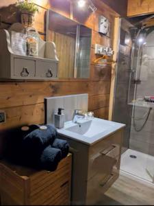 a bathroom with a sink and a shower at Chalet romantique avec piscine in Monthion +16 photos