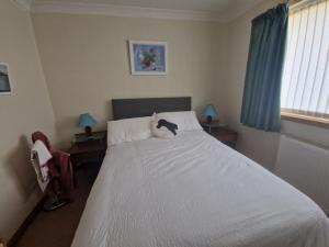 a bedroom with a bed with a cat laying on it at Brandane in Brodick