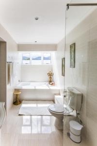 a bathroom with a toilet and a bath tub at Hermanus Manor in Hermanus