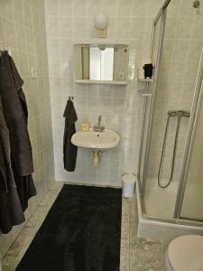 a bathroom with a sink and a shower at BiRo-Apartments in Zalavár +20 photos