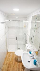 a bathroom with a toilet and a sink and a shower at Casita Las Lajas in El Paso +11 photos