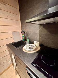 a kitchen with a stove and a plate on a counter at Aurora Sea Lodges in Karpbukt