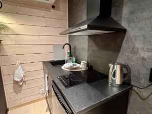 a small kitchen with a stove and a sink at Aurora Sea Lodges in Karpbukt