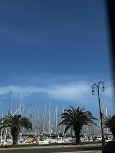 a bunch of boats parked in a marina with palm trees at Cama Luxury Rooms in Palermo