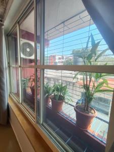 a window with potted plants sitting on a ledge at 1 bhk apartment ruby residency in Canacona