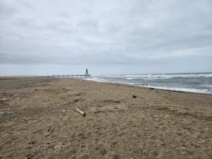 a sandy beach with a lighthouse in the ocean at bord de mer in Leucate-Plage