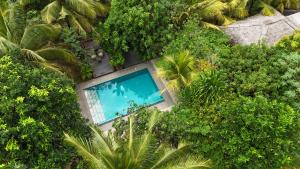 an overhead view of a swimming pool in a forest at Richards Cabanas in Tissamaharama +199 photos