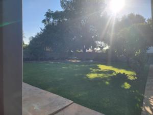 a view of a yard with a tree and the sun at McCrae's Garden Suite in Malmesbury