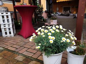 two white buckets filled with flowers on a patio at Pension Max in Senftenberg